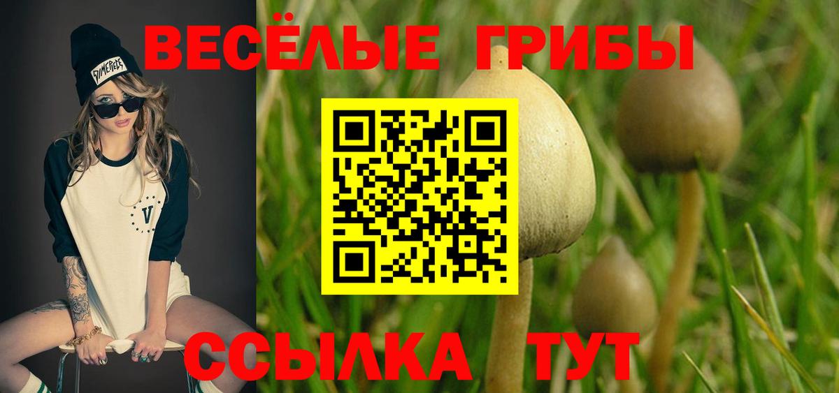Псилоцибиновые грибы GOLDEN TEACHER  Галлюциногенные грибы GOLDEN TEACHER  Вход с VPN  Архангельск 