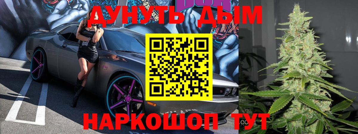 Конопля сатива  Вход с VPN  Архангельск  Конопля индика 